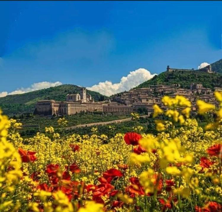 Le Dimore Arcangelo Maria Assisi Exteriér fotografie